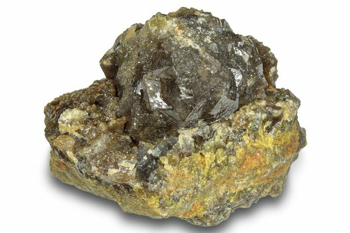 Andradite Garnet Cluster - Stanley Butte, Arizona #245040